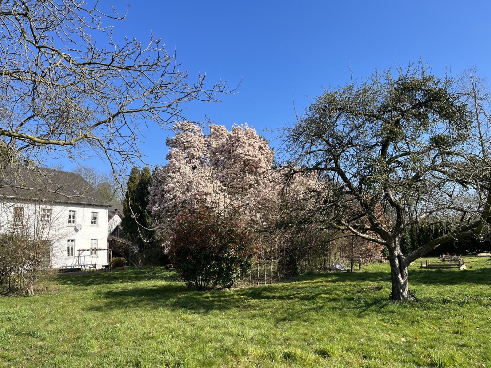 Pfarrgarten mit Pfarrhaus im Frühjahr 2022