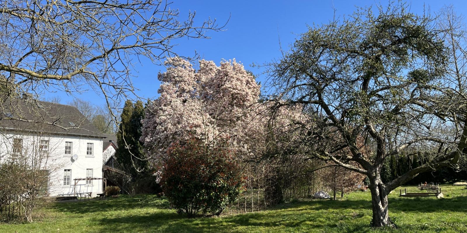 Pfarrgarten mit Pfarrhaus im Frühjahr 2022