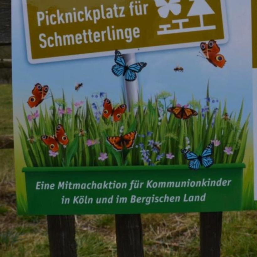 20200427_Laudoto-Si-Woche_Schmetterlings-Picknick-Plätze_Familie Kaiser_Merheim