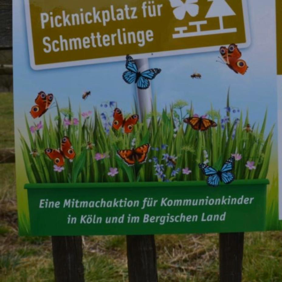20200427_Laudoto-Si-Woche_Schmetterlings-Picknick-Plätze_Familie Kaiser_Merheim